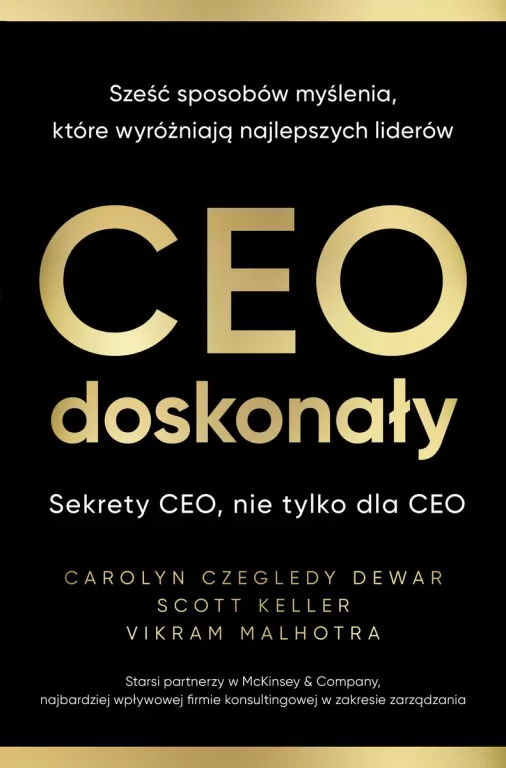 CEO doskonały. Sześć sposobów myślenia, które wyróżniają najlepszych liderów - tantis.pl