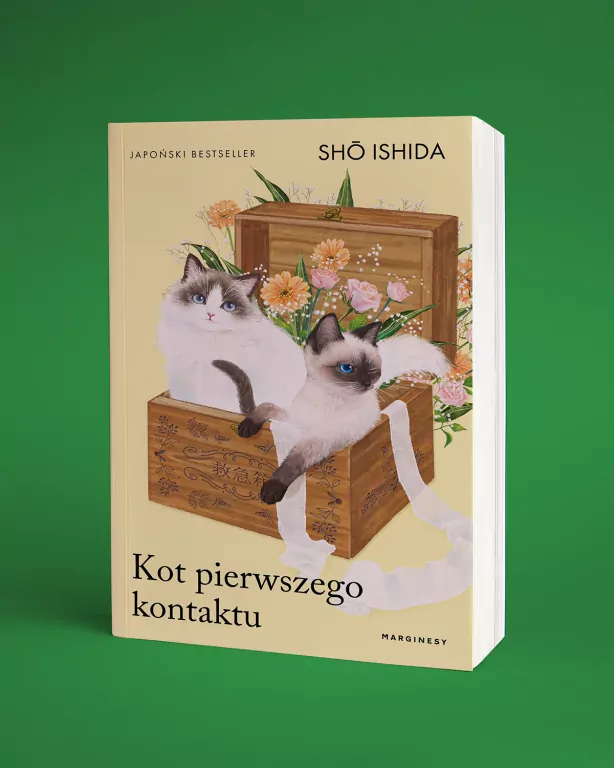Kot pierwszego kontaktu - tantis.pl