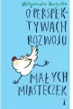 O perspektywach rozwoju małych misteczek - tantis.pl