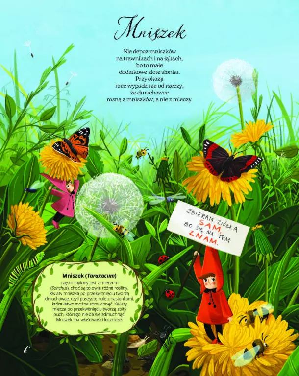 Łąka. Fakty, wierszyki i inne wybryki - tantis.pl