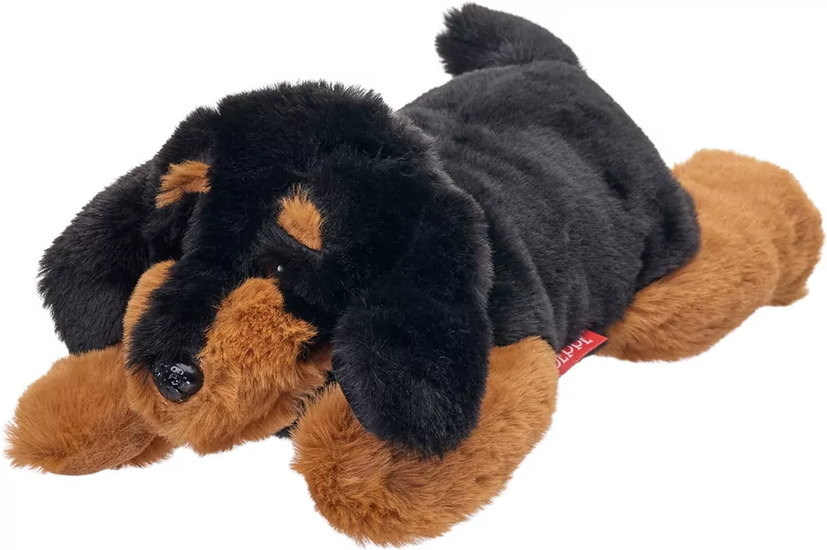 Beppe. Jamnik leżący 35cm - tantis.pl