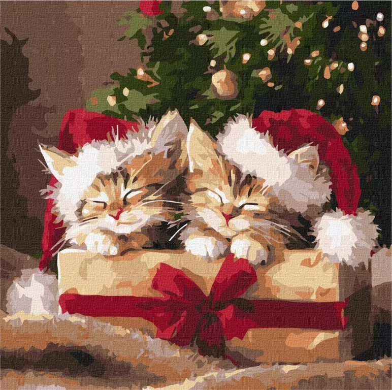 Malowanie po numerach - Puszyste prezenty 40x40cm - tantis.pl