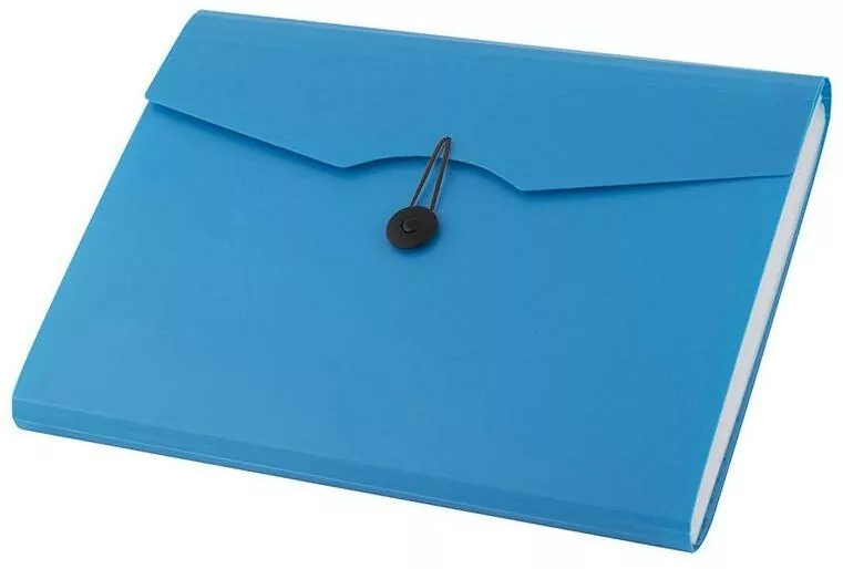 Teczka A4. 12 przegródek - tantis.pl