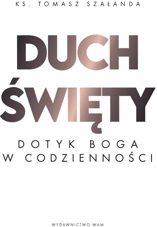 Duch Święty. Dotyk Boga w codzienności - tantis.pl