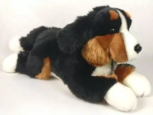 Pies berneński 61cm - tantis.pl