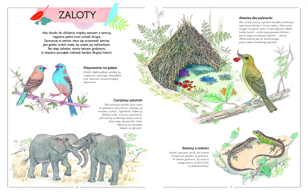 Intrygujące życie zwierząt - tantis.pl