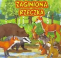 Zaginiona rzeczka JAFI - tantis.pl