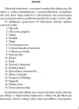 Historyjki obrazkowe z emocjami - tantis.pl