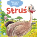 Struś - tantis.pl