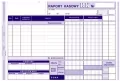 RK Raport kasowy 411-3 - tantis.pl