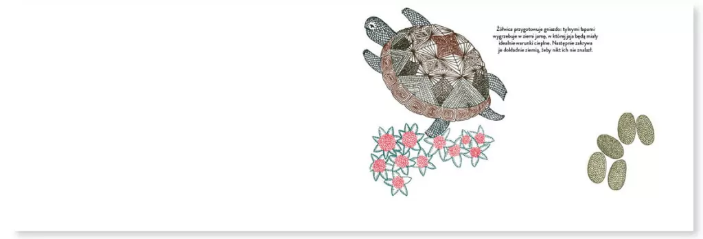 Narodziny - tantis.pl