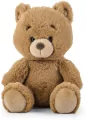 Miś miodowy 22cm - tantis.pl