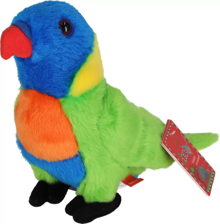 Lorysa górska 20cm - tantis.pl
