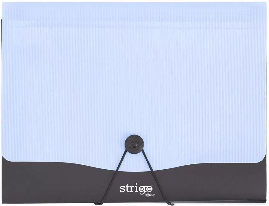 Teczka Vfile A4 z 13 przekładkami błękitna STRIGO - tantis.pl