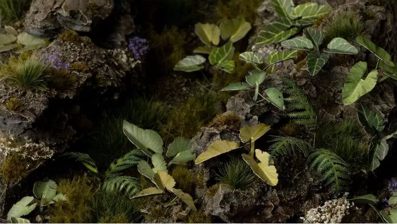 Gamers Grass: Laser Plants - Elephant Ear - Kolokazja - tantis.pl