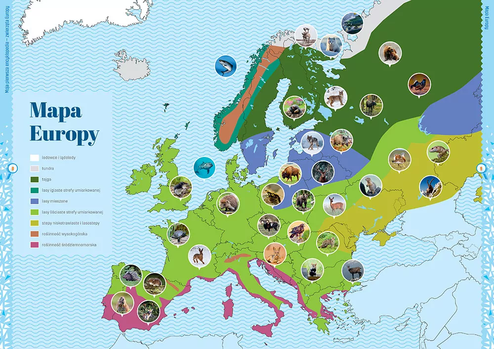 Moja pierwsza encyklopedia. Zwierzęta - tantis.pl