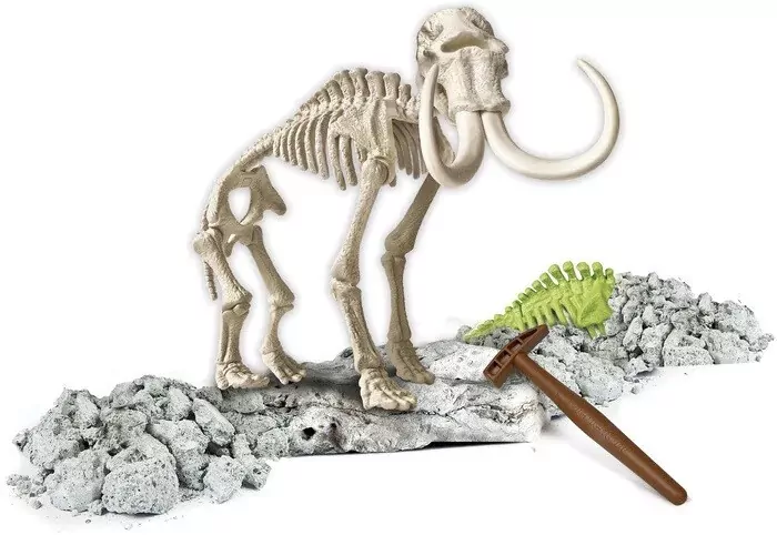 Skamieniałości. Naukowa zabawa. Mamut - tantis.pl