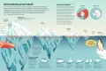 Britannica Encyklopedia Infografika - tantis.pl