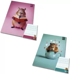 Notes A6/50K kratka poddruk Kapibara