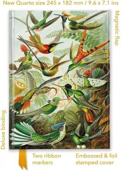 Notatnik quatro linia TW Kolibry Ernst Haeckel - tantis.pl