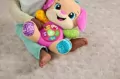 Fisher-Price. Siostrzyczka Szczeniaczka Uczniaczka - tantis.pl