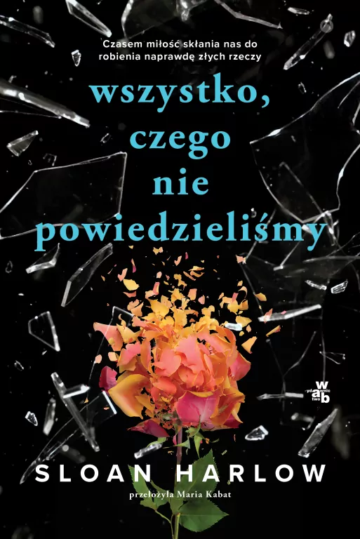 Wszystko, czego nie powiedzieliśmy - tantis.pl