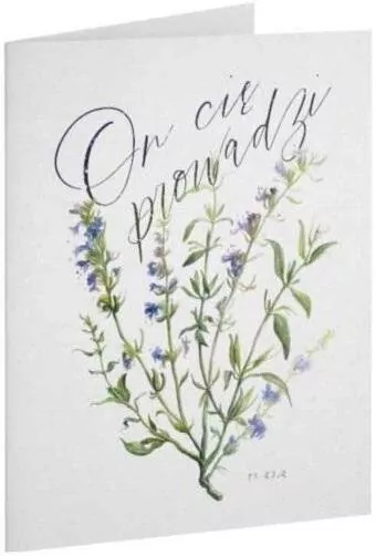 Kartka. On cię prowadzi - tantis.pl