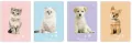 Zeszyt A5/16K kratka UV Puppy Sign - tantis.pl