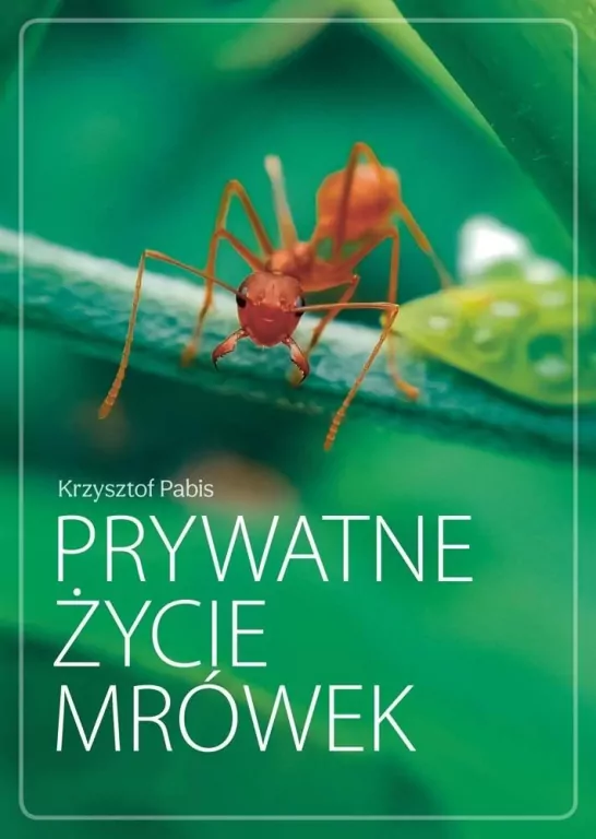 Prywatne życie mrówek - tantis.pl