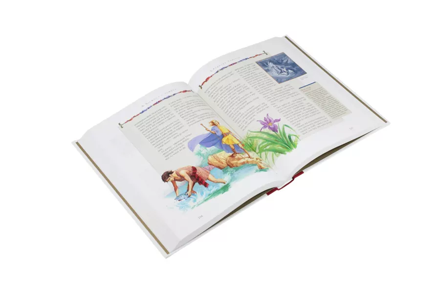 Biblia opowiedziana dzieciom. Stary i Nowy Testament - tantis.pl