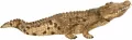 Krokodyl Wild Life 14736 - tantis.pl