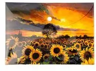 Teczka kopertowa PP A5 Słoneczniki - tantis.pl