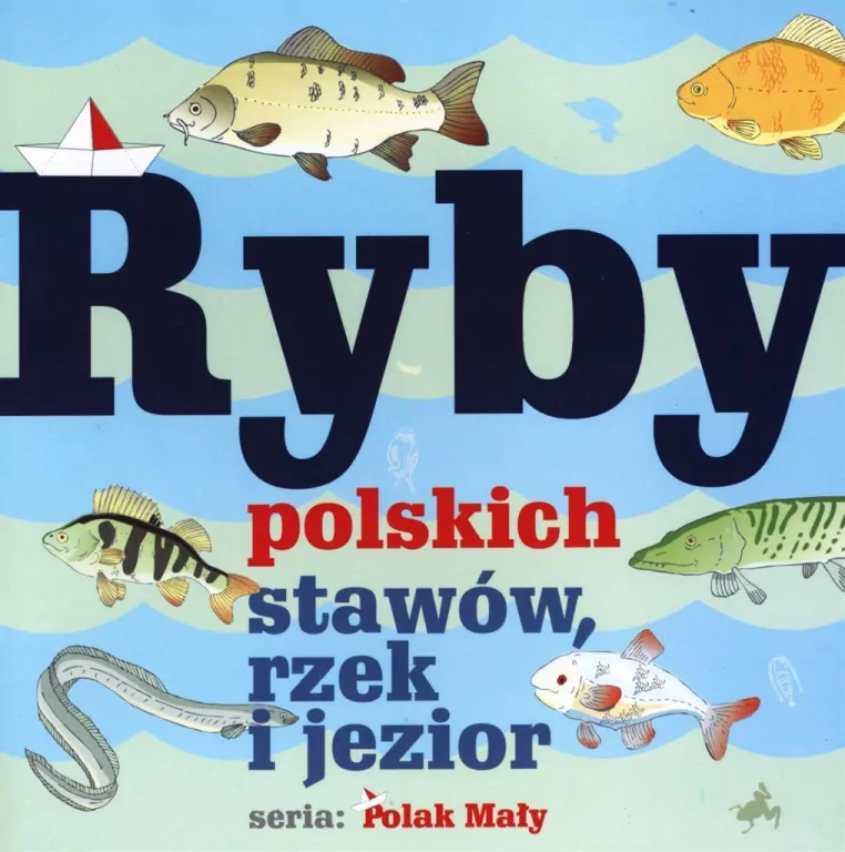 Ryby polskich stawów, rzek i jezior. Polak mały - tantis.pl