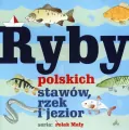 Ryby polskich stawów, rzek i jezior. Polak mały - tantis.pl