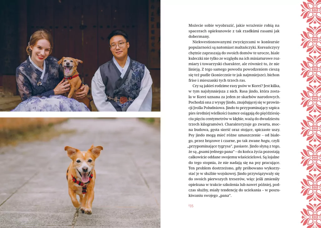 Polka w Korei. Jak się żyje w kraju K-popu, kimchi i Samsunga - tantis.pl