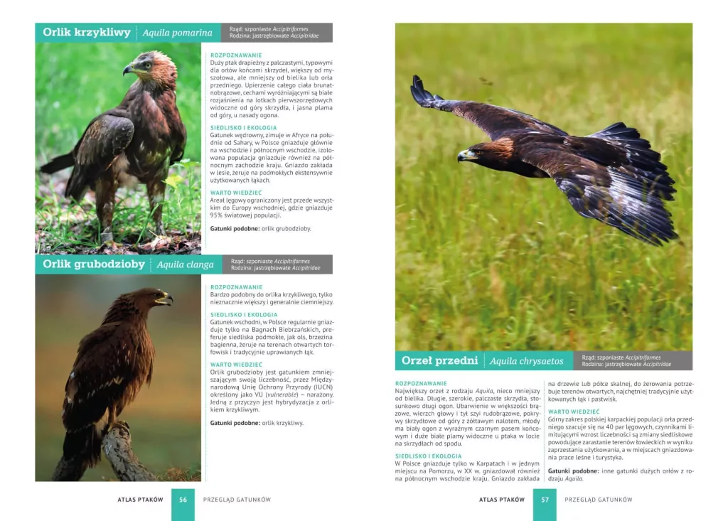 Atlas ptaków. 250 polskich gatunków - tantis.pl