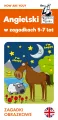 Angielski. Zagadki obrazkowe. Kapitan Nauka - tantis.pl