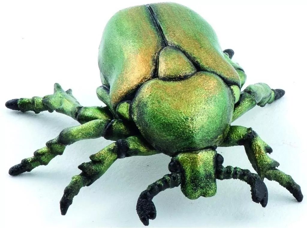 Kruszczyca złotawka - tantis.pl