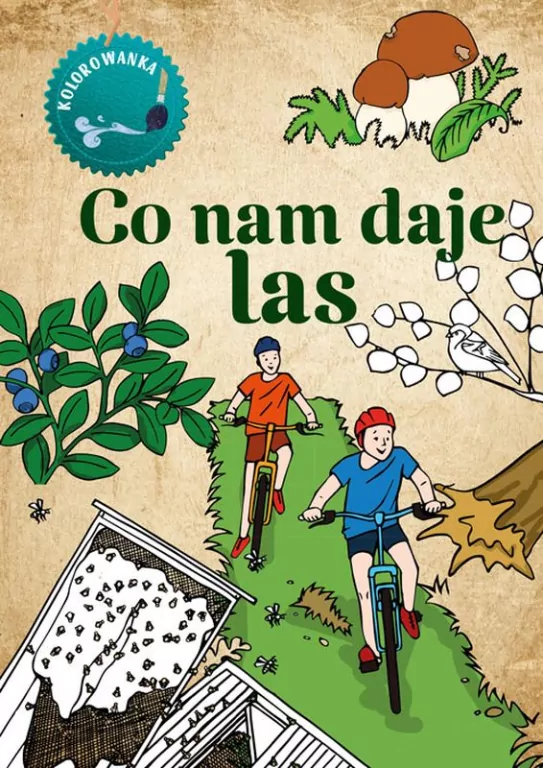 Kolorowanka. Co nam daje las - tantis.pl