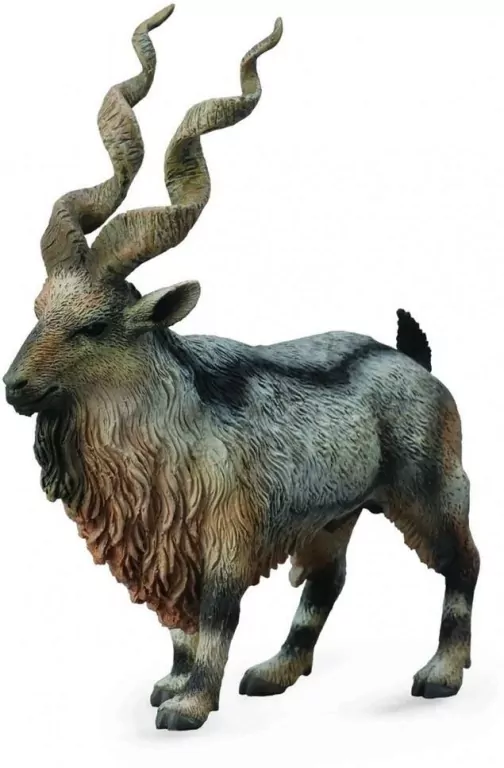 Tadjik Markhor - tantis.pl