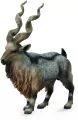 Tadjik Markhor - tantis.pl