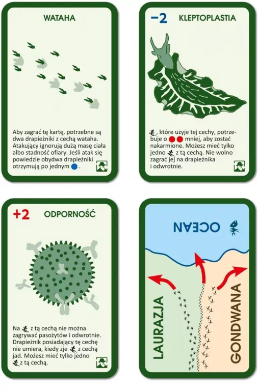 Gra Ewolucja dodatek - tantis.pl