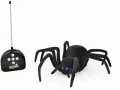 Pająk R/C ze świecącymi oczami - tantis.pl