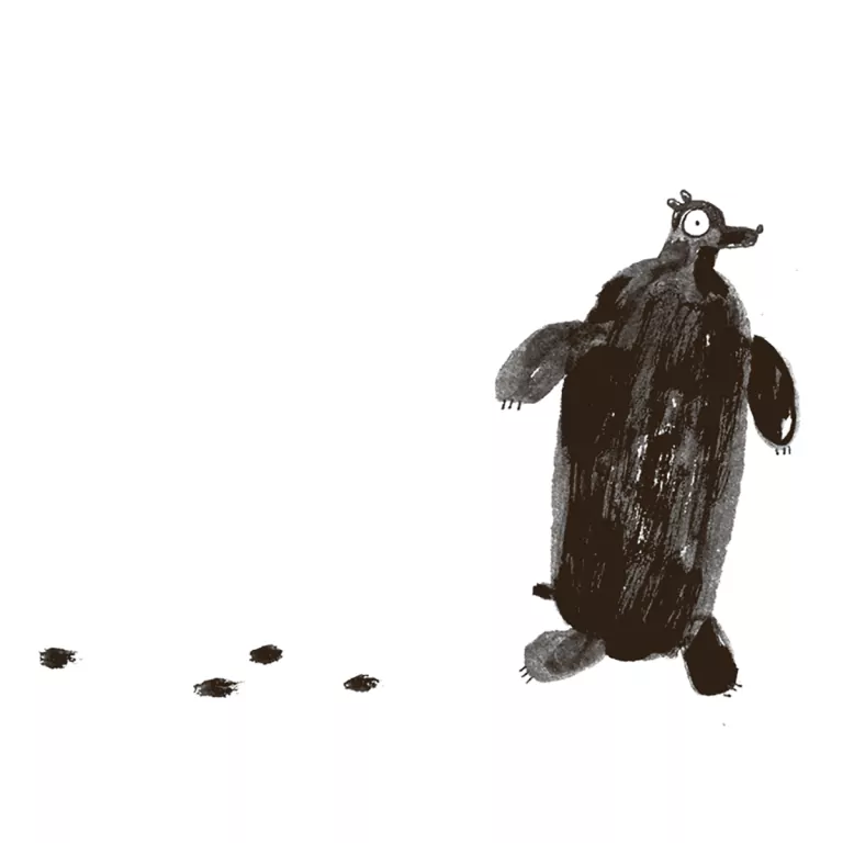 Mniedźwiedź - tantis.pl