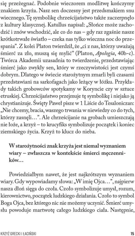 Krzyż. Historia odkrywana w dziejach sztuki - tantis.pl