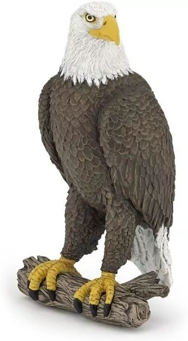 Orzeł bielik - tantis.pl