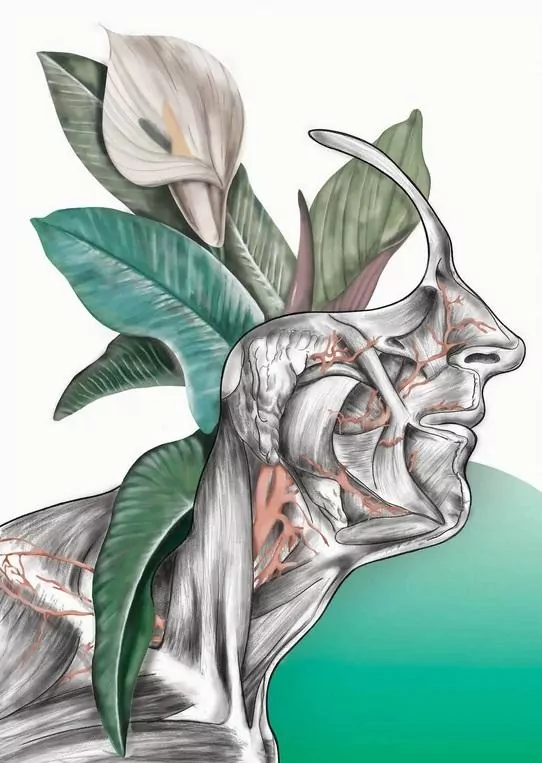 Plakat Floral head - tantis.pl