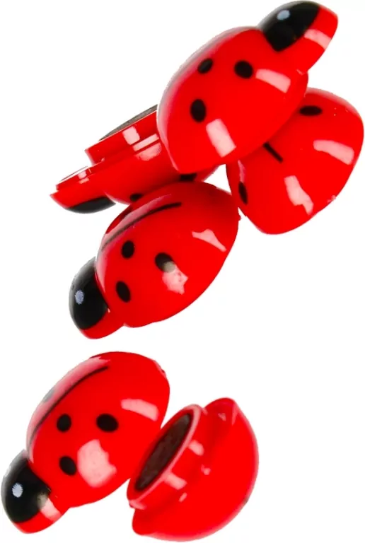 Magnesy. Biedronki 6 sztuk - tantis.pl