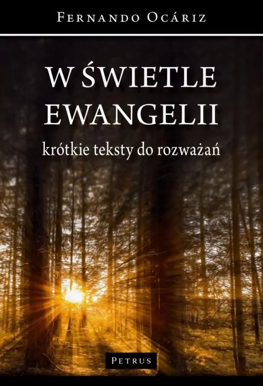 W świetle ewangelii. Krótkie teksty do rozważań - tantis.pl