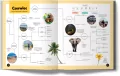 Dookoła świata z dziećmi. Gdzie i kiedy pojechać? Lonely Planet - tantis.pl